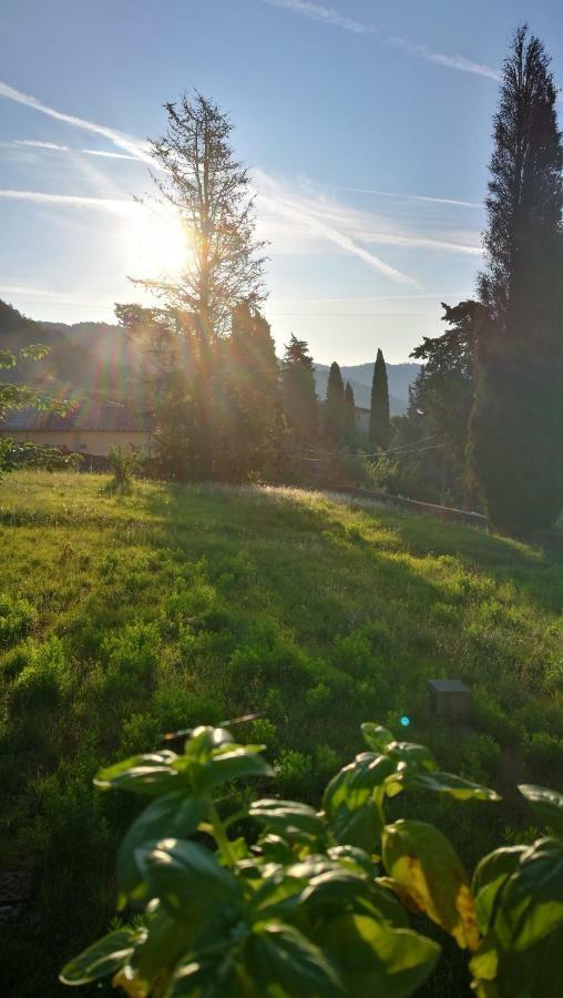 Villa Basilica Palazzo Boccellaゲストハウス エクステリア 写真