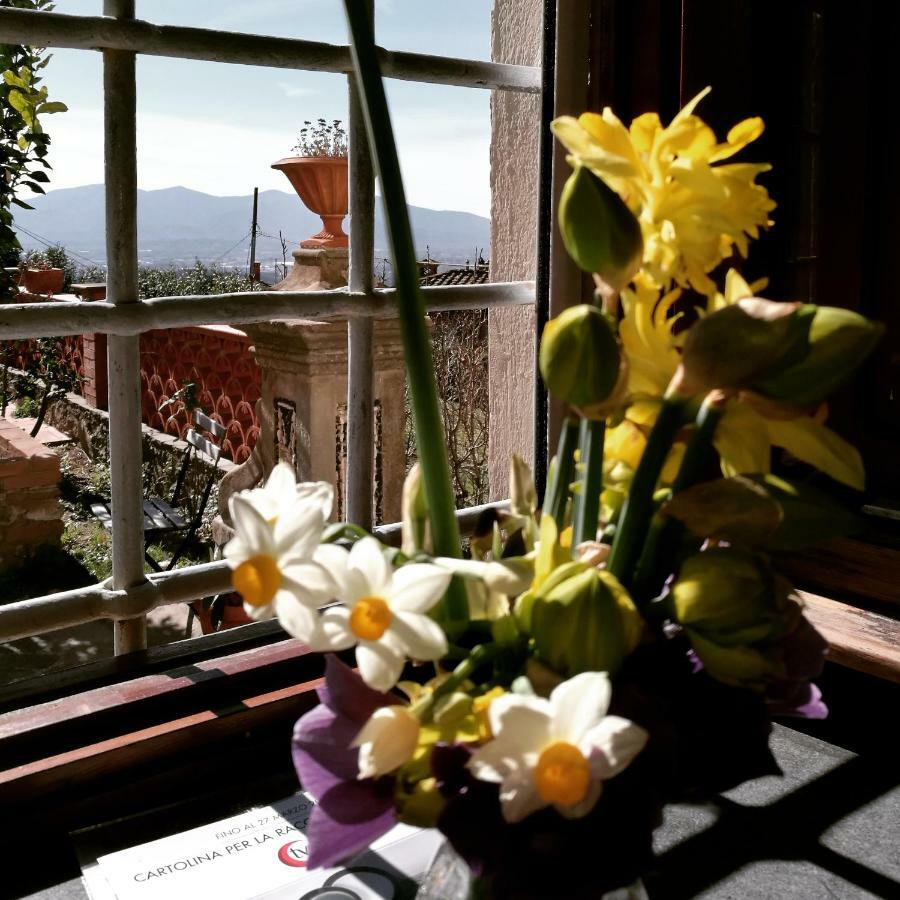 Villa Basilica Palazzo Boccellaゲストハウス エクステリア 写真